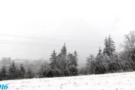 Bílé vánoce, Silvestr, Nový rok?