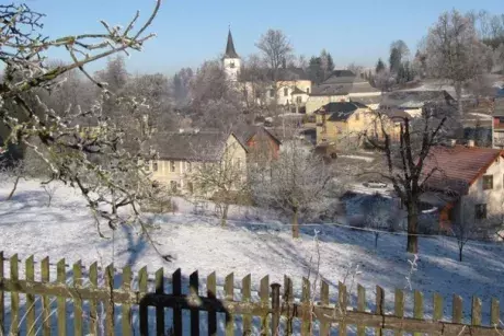 Novoroční Nekoř 1.1.2017