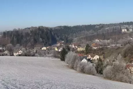 Novoroční Nekoř 1.1.2017