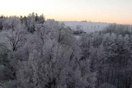 Novoroční Nekoř 1.1.2017