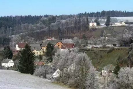 Novoroční Nekoř 1.1.2017