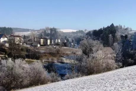 Novoroční Nekoř 1.1.2017