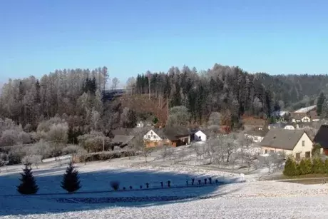 Novoroční Nekoř 1.1.2017