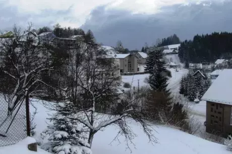 fotokronika roku 2017