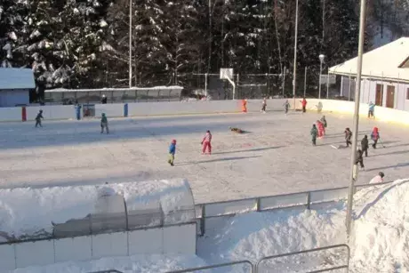 fotokronika roku 2017