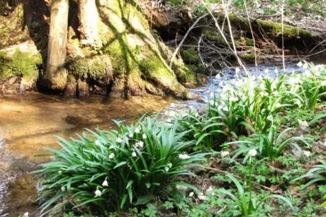 březen-květen 2017