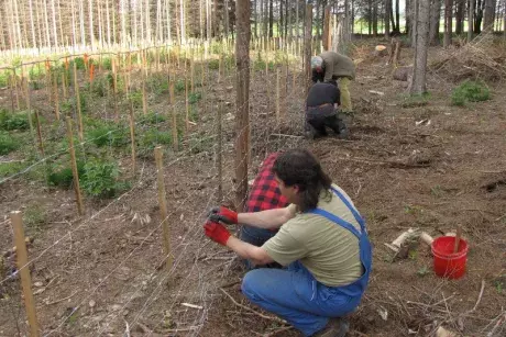 Události v obci - květen 2017