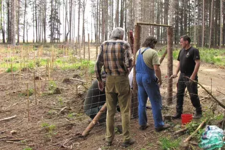 Události v obci - květen 2017