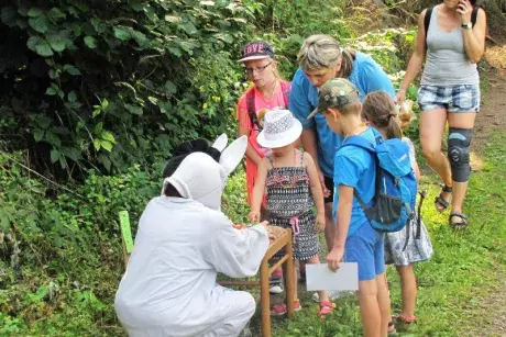 10. Nekořská cesta za pohádkou