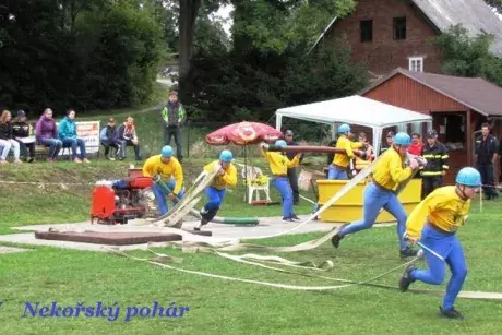 fotokronika roku 2017