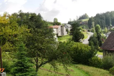 fotokronika roku 2017