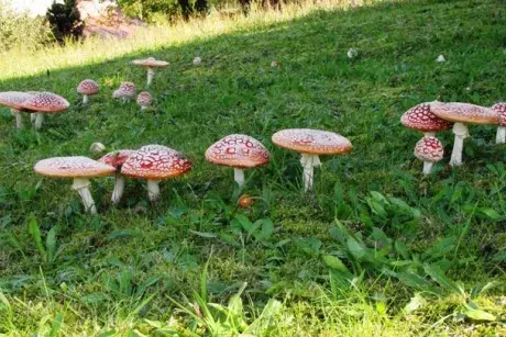 fotokronika roku 2017