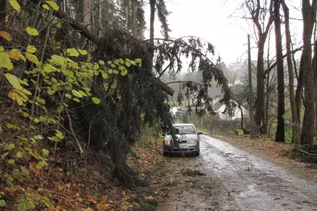 Následky vichřice Herwart