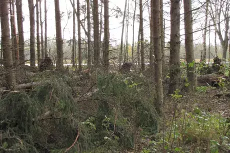 Následky vichřice Herwart