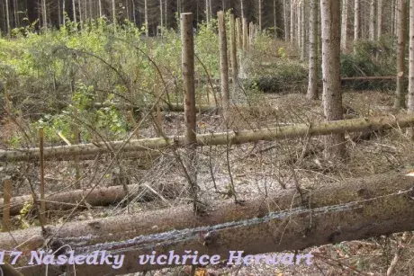 fotokronika roku 2017