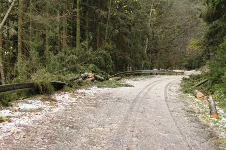 Následky vichřice Herwart