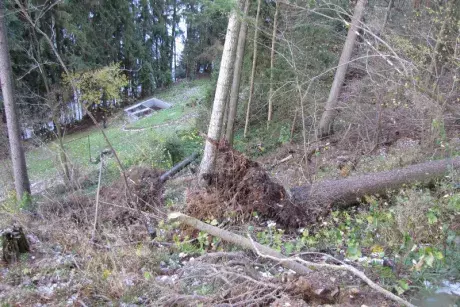 Následky vichřice Herwart