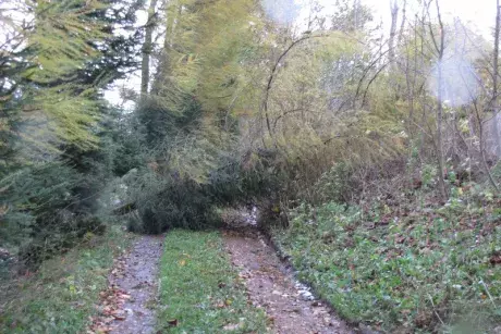 Následky vichřice Herwart