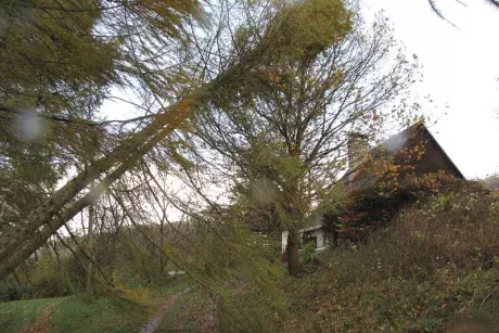 Následky vichřice Herwart