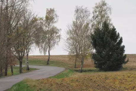 Následky vichřice Herwart