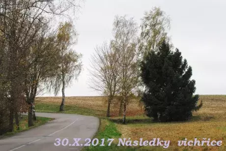 fotokronika roku 2017