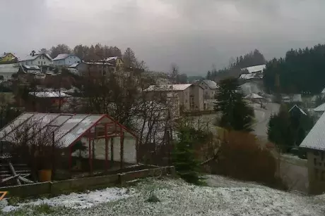 fotokronika roku 2017