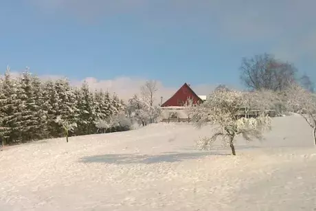 fotokronika roku 2017
