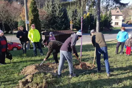 Sázení pamětní lípy 17.11.2018