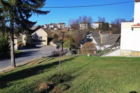 Sázení pamětní lípy 17.11.2018