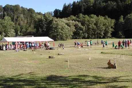 IX. Srandamač 7.7. 2018