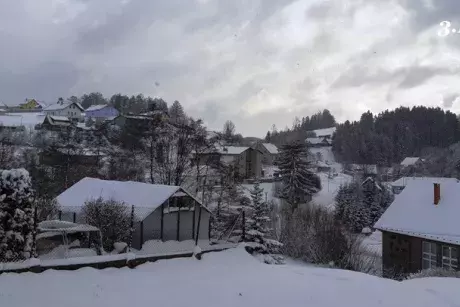 Zima, předjaří 2019