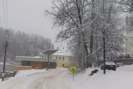 Zima, předjaří 2019