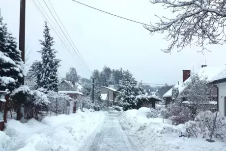 Zima, předjaří 2019