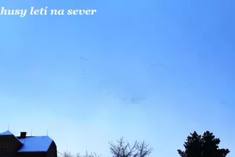 Zima, předjaří 2019