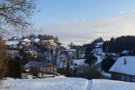 Zima, předjaří 2019