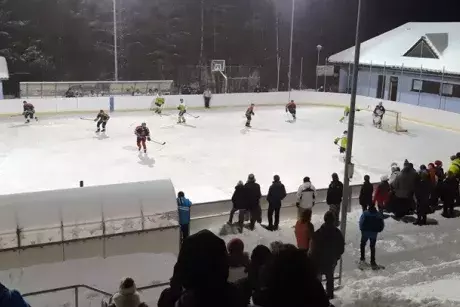 Zima, předjaří 2019