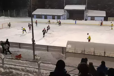 Hokejový zápas 25.1.2019