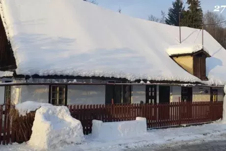 Zima, předjaří 2019