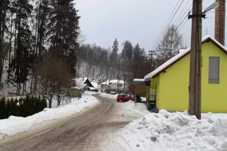 Zima, předjaří 2019