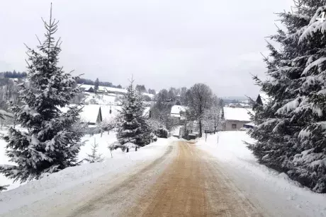 Zima, předjaří 2019