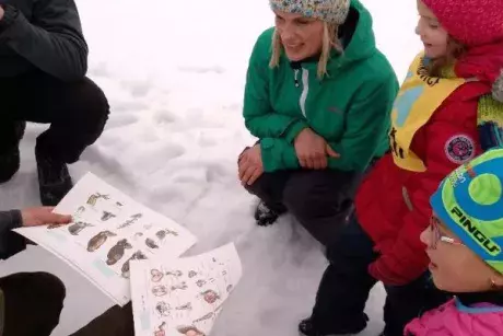 Zimní branné závody