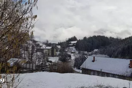 Zima, předjaří 2019