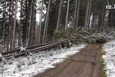 Zima, předjaří 2019