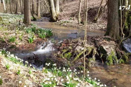 Zima, předjaří 2019
