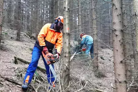 Události v květnu 2019
