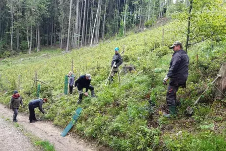 Události v květnu 2019