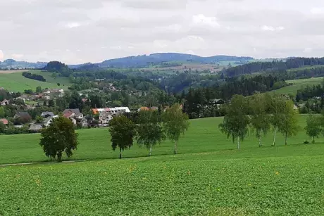 Události v květnu 2019