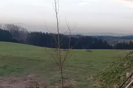 17. listopad 2019 - sázení pamětní lípy