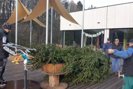 Rozsvěcení vánočního stromu 20.11.2019