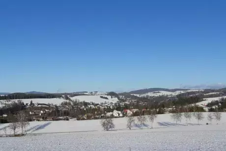 Zima - předjaří 2020